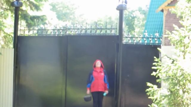 Приключения Красной шапочки смотреть онлайн