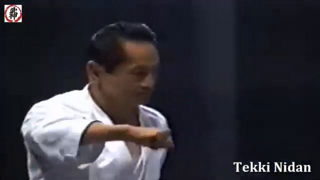 Tetsuhiko Asai - kata karate Shotokan Tekki Nidan | Тетсухико Асаи - ката Текки Нидан смотреть онлайн