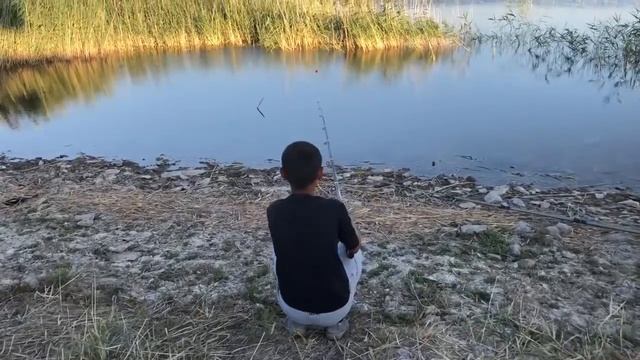 Кызыл-Орда.Змееголова снова ловим. смотреть онлайн