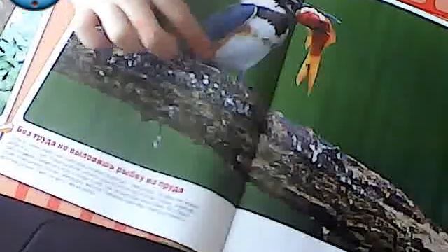 журнал GEO смотреть онлайн