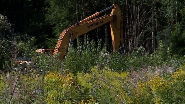 В Заягорбском районе Череповца обустраивают дороги к землям для многодетных смотреть онлайн