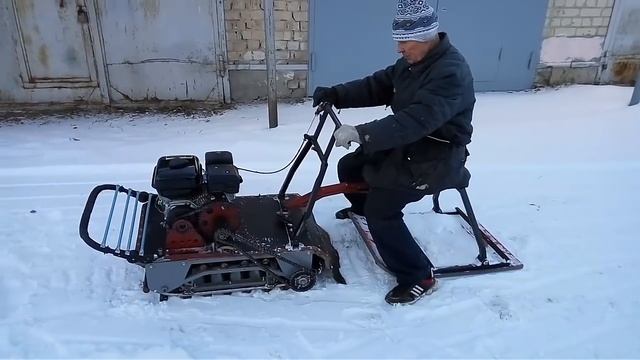 Новый палочник. смотреть онлайн