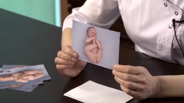 Пироговый раен