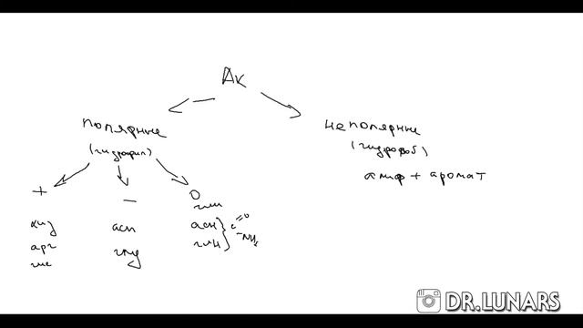 1. Аминокислоты. Белки. Классификация смотреть онлайн