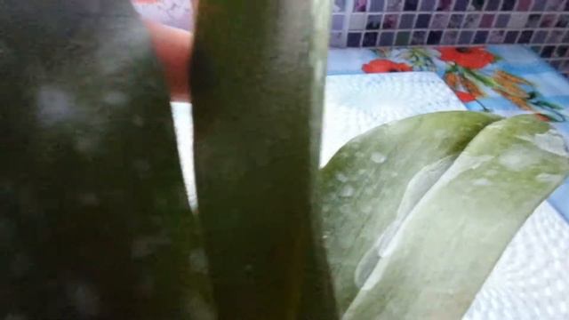 Обзор посылки с фаленопсис - сюрприз... смотреть онлайн
