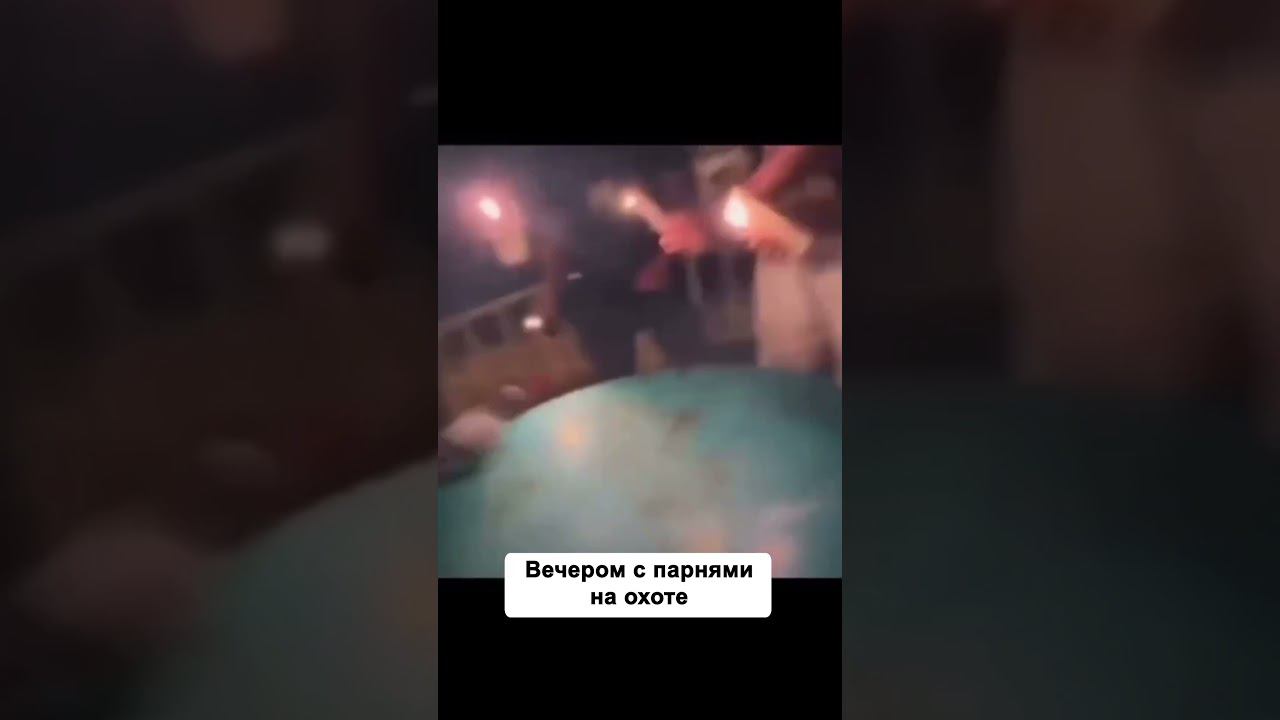 Хвастаюсь новинкой #shorts смотреть онлайн