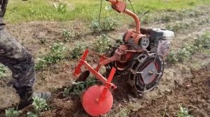 Окучивание картошки мотоблоком