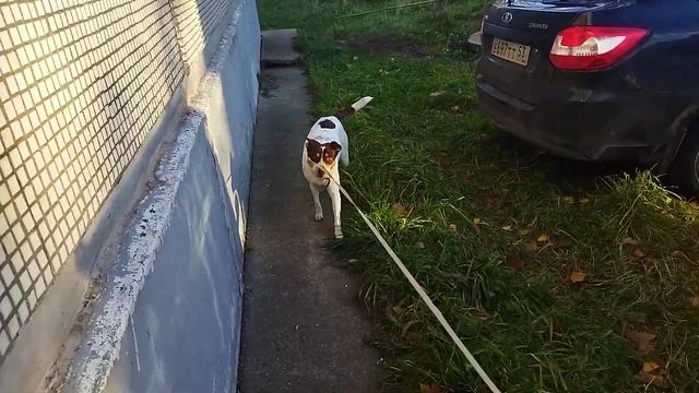 На улице просто весна у нас, иду платить пр счетам смотреть онлайн