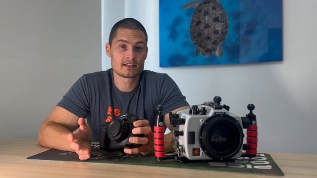 Nikon Z8 Underwater Review // Josh Blank Ditches the D850 смотреть онлайн