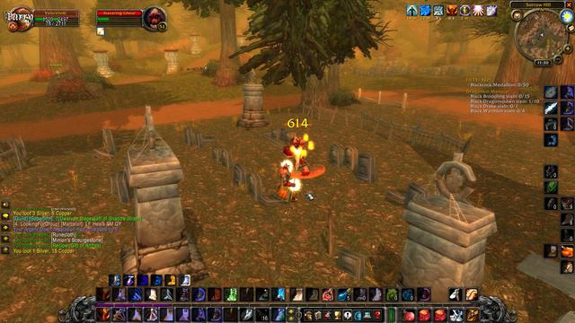 Valorzinski Classic WoW Paladin Leveling Part 114 смотреть онлайн