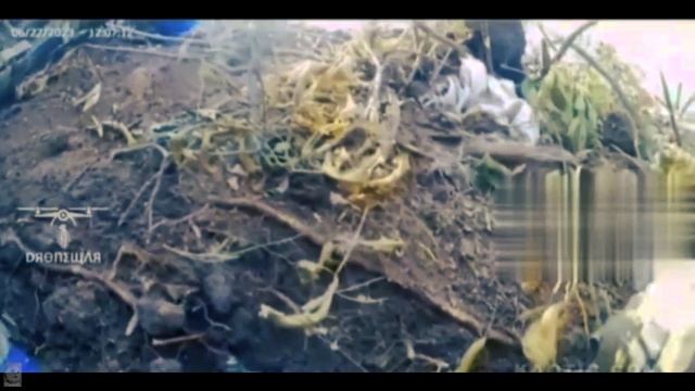 Кадры ближнего боя от лица ВСУ. смотреть онлайн