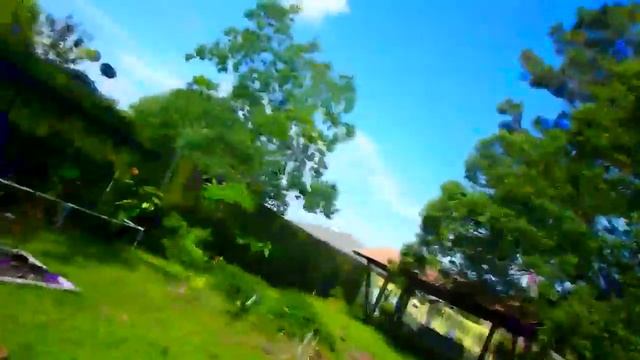 Любовная Чашка Сумка Донна Каран - скромный Завтрак в гараже 28.05.2014 смотреть онлайн