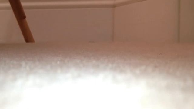 Need For Speed Trailer смотреть онлайн