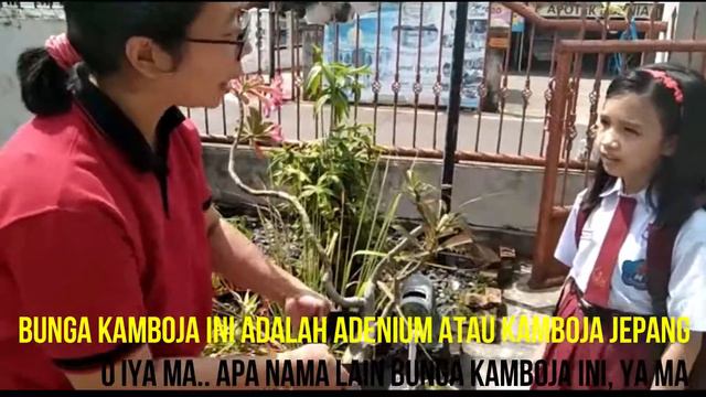 BUNGA KAMBOJA GISEL смотреть онлайн