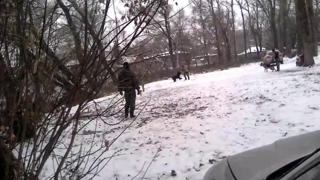 VID_20161102_102649 смотреть онлайн