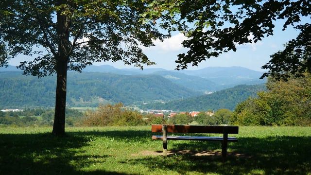 Beautiful piano music for relaxation, stress relief and studying смотреть онлайн