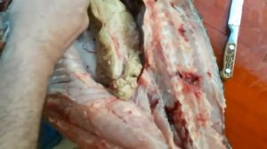 Маринованный Карп (селедка)Разделка крупной рыбы.