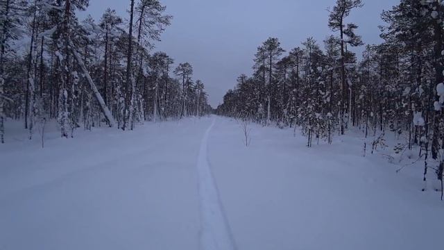 Охота на глухаря. Поход по незнакомым местам. Собака умирает от усталости. смотреть онлайн