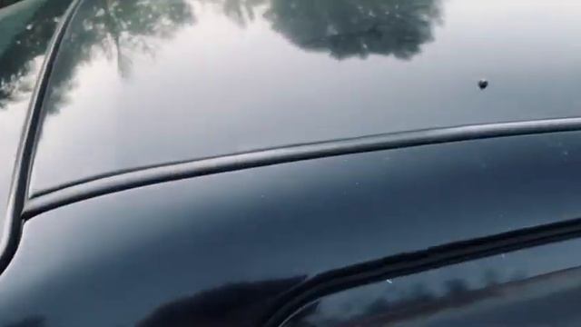 Ford Focus 1 смотреть онлайн