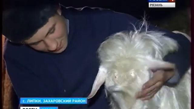 Семья не может оформить документы смотреть онлайн