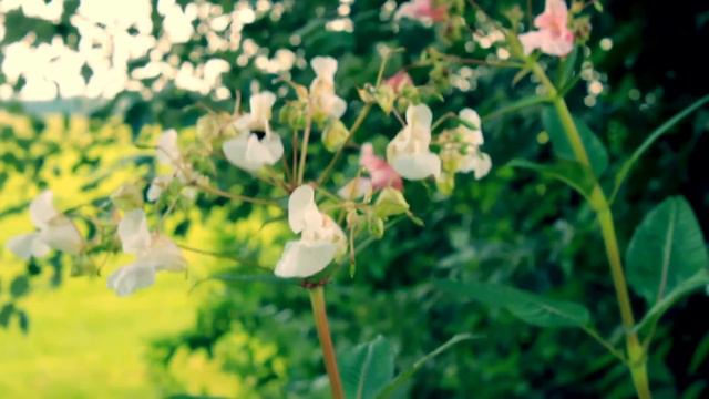 Drake - One Dance (Piano Cover) смотреть онлайн