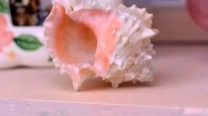 реклама кроссовок Adidas - Adicolor pink