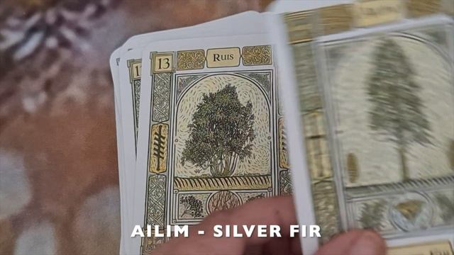 Unboxing The Celtic Tree Oracle: Exploring the Wisdom of the Trees 4K смотреть онлайн