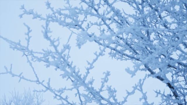 Minus 9 смотреть онлайн