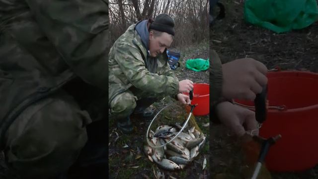 Белазёрск второй тёплый канал ,порадовал супер плотвой!!! смотреть онлайн