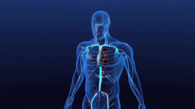ВДОХ - 8 ударов. ВЫДОХ 16 ударов сердца. А А БУ Ун Д-баш Май О О. смотреть онлайн