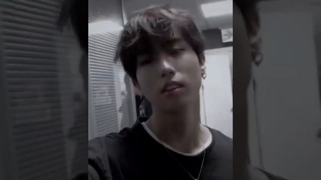 наша милая квокка ?✨#straykids #джисон смотреть онлайн