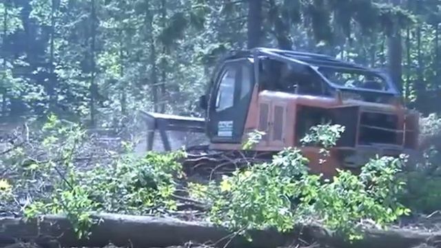 На помощь Томилинскому лесопарку направили диковинный агрегат