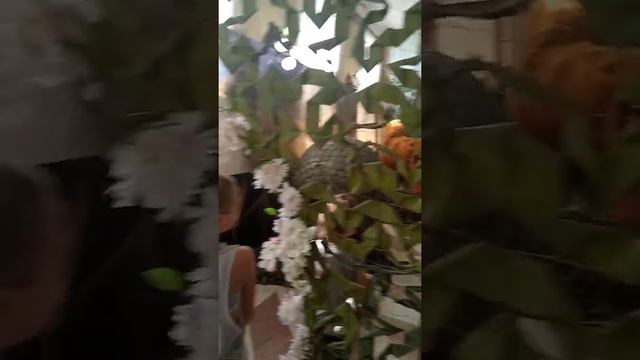 Выставка гигантов ледникового периода в Невьянске смотреть онлайн