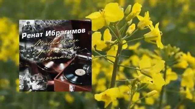 Ренат Ибрагимов - Майскими короткими ночами смотреть онлайн