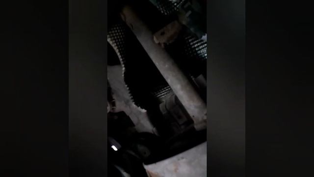 Changement silencieux citroen c2 1.4 hdi VTR смотреть онлайн