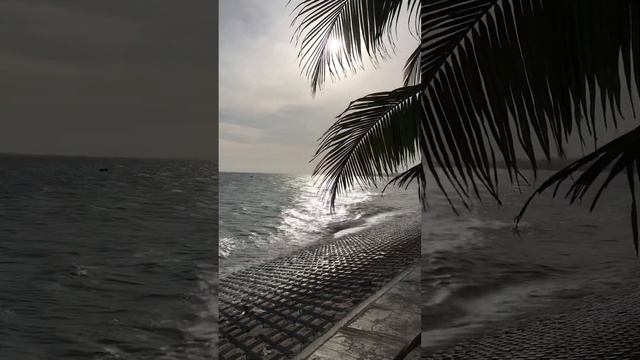 Муйне-Фантьет. #настроение #море#вьетнам #авторскийтур смотреть онлайн