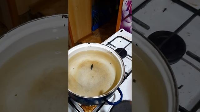 маринуем опята смотреть онлайн