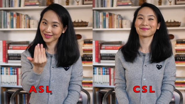 Learn Chinese Sign Language – Lesson 1 Greetings смотреть онлайн
