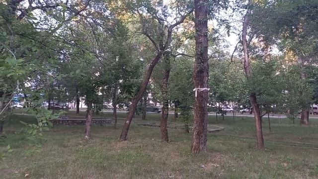 Начался ремонт двора на Руднева 53, 55, 57.... Август 2022 г. Хабаровск. смотреть онлайн