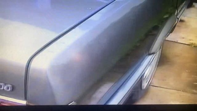 The Free Fiat Argenta