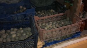 Погреб своими руками на улице на даче или в деревне. #погреб