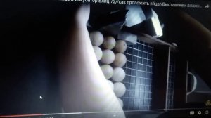 РЕЖИМ ИНКУБАЦИИ ИНДЮШИНЫХ ЯИЦ //температура, влажность//