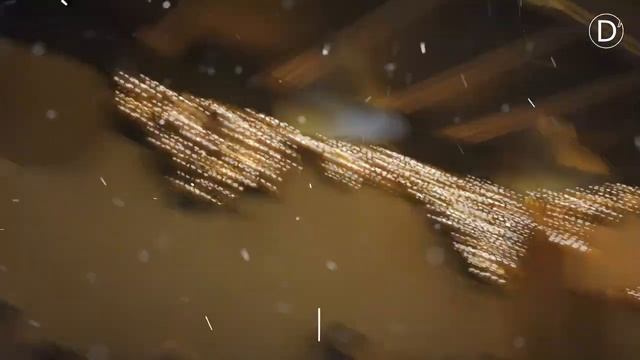 Новогодний карнавал в Международной Академии Дизайна смотреть онлайн