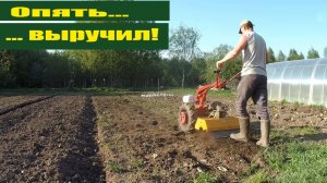 Несмотря на все катаклизмы, мы с мотоблоком мтз огород таки победили!