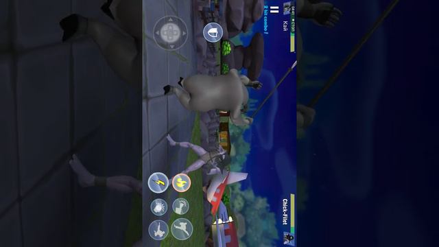 Купил Кая! . Обзор игры кунг-фу животные! смотреть онлайн