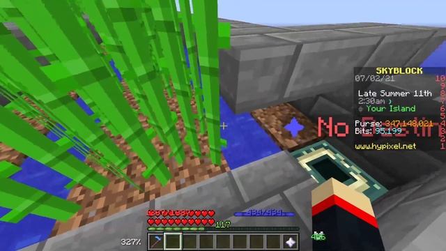 Best Way to Farm Sugarcane in Hypixel Skyblock! смотреть онлайн