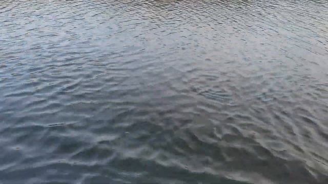 Лодочный электромотор Haswing Protruar 1.0 (1 л.с. / 12 Вольт) смотреть онлайн