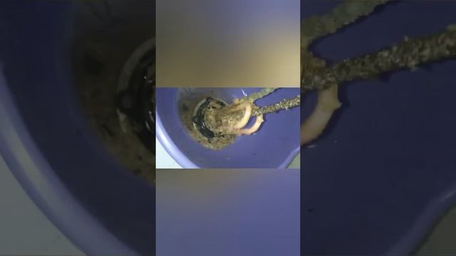 Подтекает бойлер термэкс, течёт из-под крышки водонагревателя смотреть онлайн