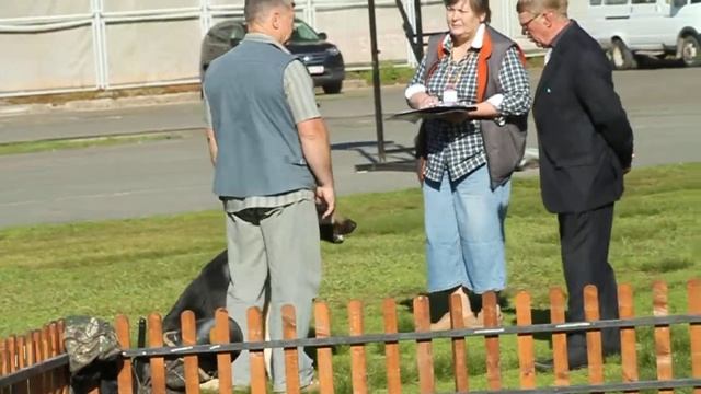 Выставка КЧК, г.Пермь, 07.06.14 смотреть онлайн