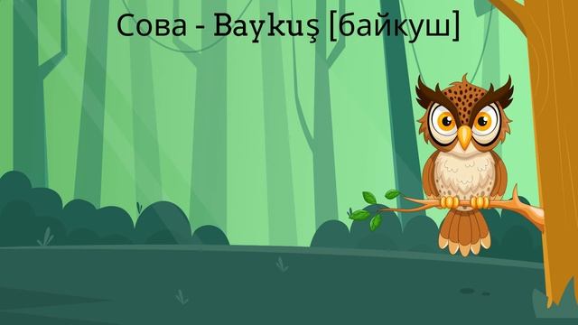 Турецкий в стишках. Урок 7. Животные в лесу - Часть 2 смотреть онлайн